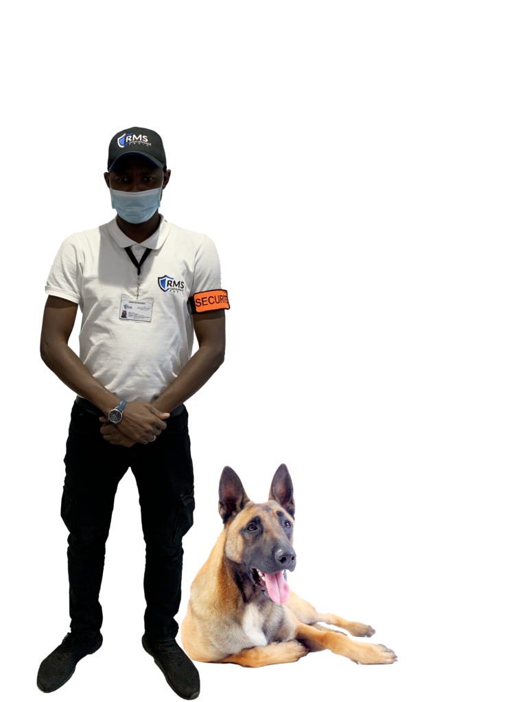 Sylla chien rms